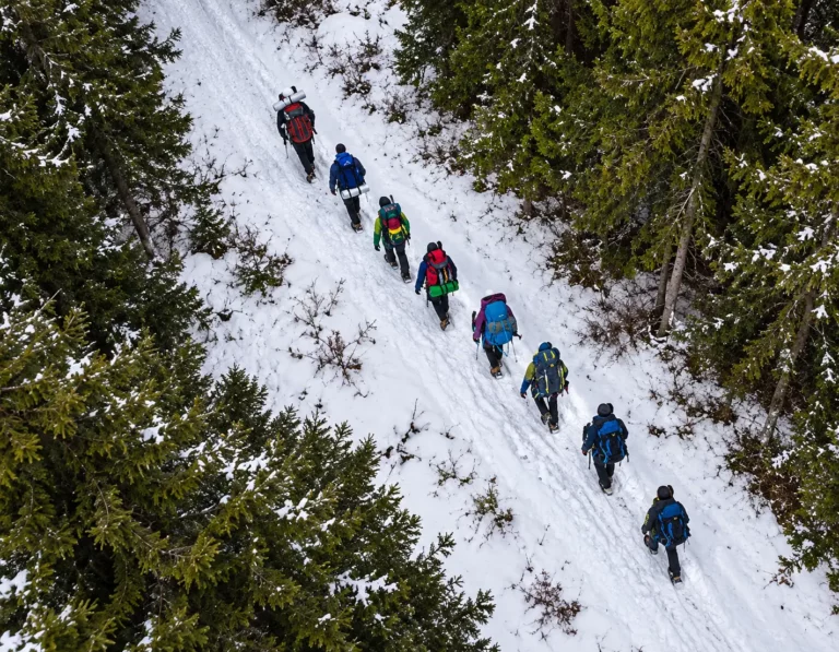 Groupe de randonneurs en file indienne avec sacs à dos faisant une sortie en raquettes dans la neige en forêt